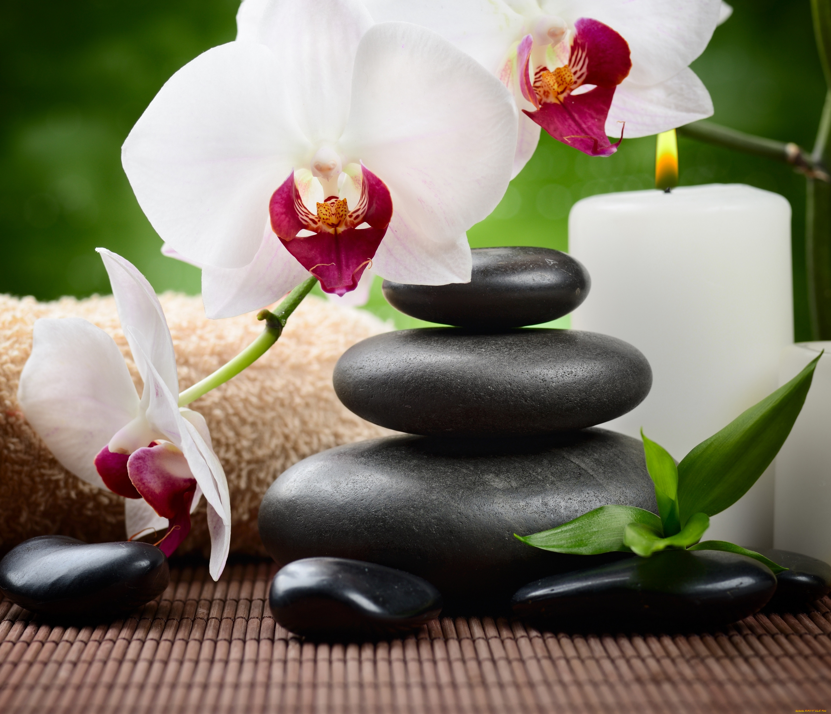 , ,  ,    spa-, , orchid, flowers, , candle, stones, zen, spa, 